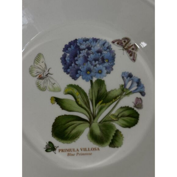 3 PORTMEIRION BOTANIC GARDEN 8 1/2" Rimmed Soup/Pasta Bowls Assorted - Picture 8 of 10